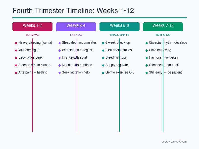 Fourth trimester timeline infographic showing recovery milestones from weeks 1 through 12 postpartum
